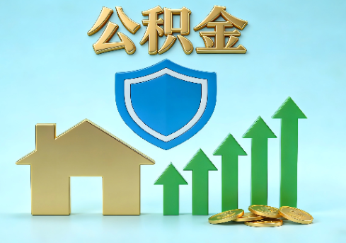 莱芜当前住房公积金提取条件分类指南与政策趋势